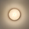 Миниатюра фото уличный настенные светильники odeon light nature 7190/6wla | 220svet.ru
